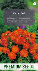 Cosmos Dwarf Sulphur Carpet Red Seeds